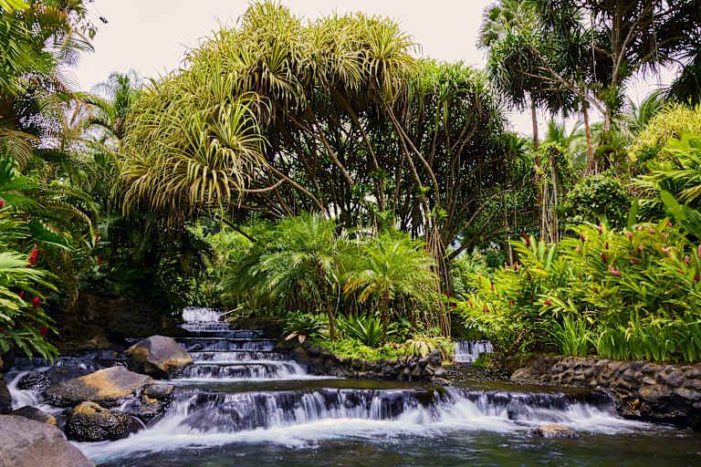 Essentiel du Costa Rica avec séjour au Cultura Plaza San José - 3* pas cher photo 13