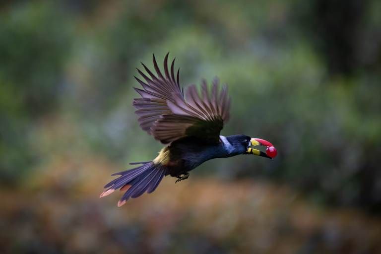 Incontournables d'Équateur et de Colombie - 3* pas cher photo 15