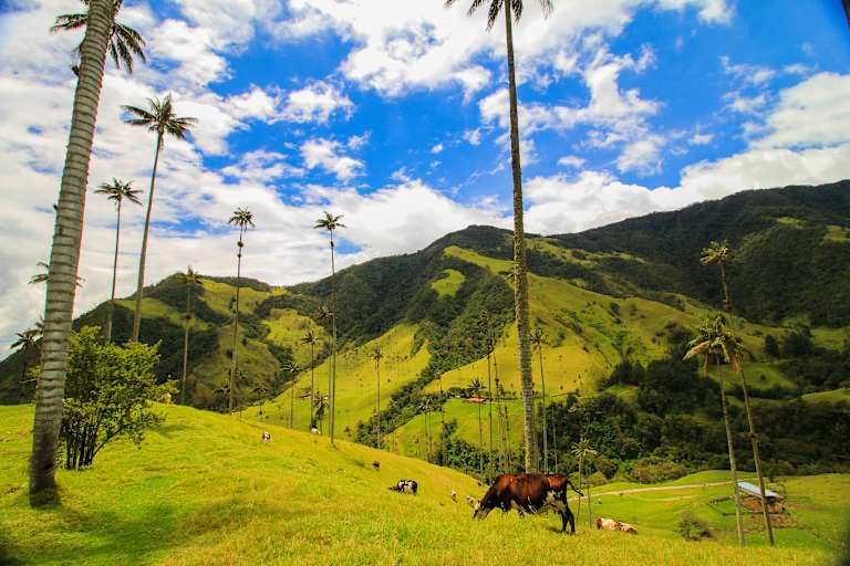 Incontournables d'Équateur et de Colombie - 3* pas cher photo 21