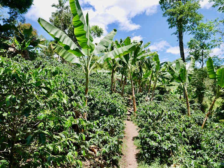 Incontournables d'Équateur et de Colombie - 3* pas cher photo 25