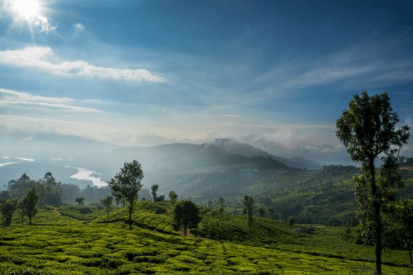 Circuit Merveilles du Kerala en Privatif - Vols Flex pas cher photo 6