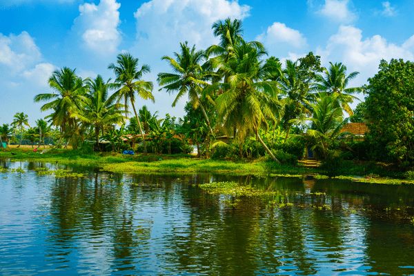 Circuit Merveilles du Kerala en Privatif - Vols Flex pas cher photo 8
