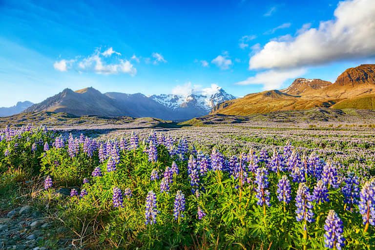 Autotour les glaciers du sud islandais - 3* pas cher photo 12