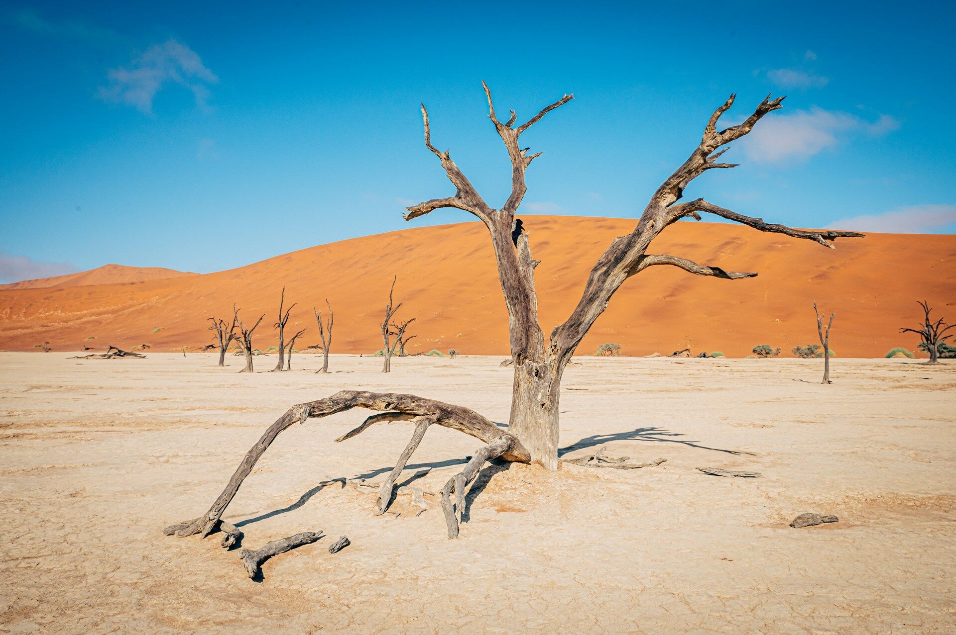 Découverte de la Namibie 12J/9N - Limité à 22 pers - 2027 pas cher photo 3