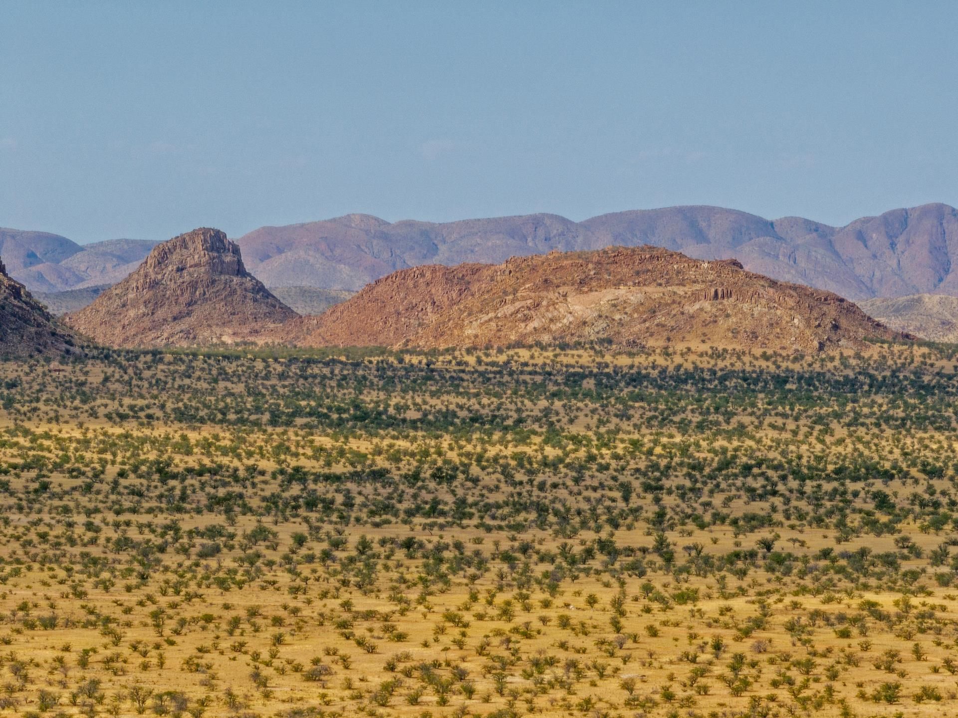 Découverte de la Namibie 12J/9N - Limité à 22 pers - 2027 pas cher photo 6