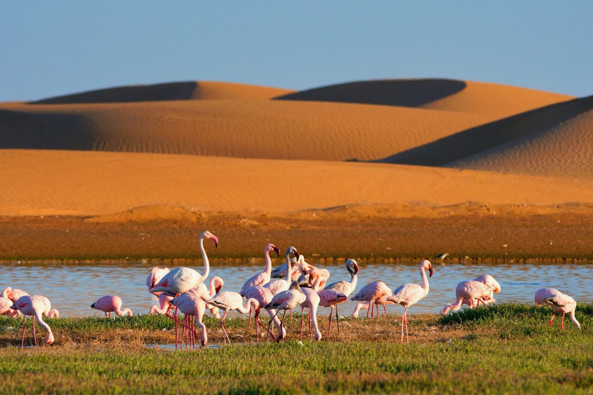 Découverte de la Namibie 12J/9N - Limité à 22 pers - 2027 pas cher photo 8