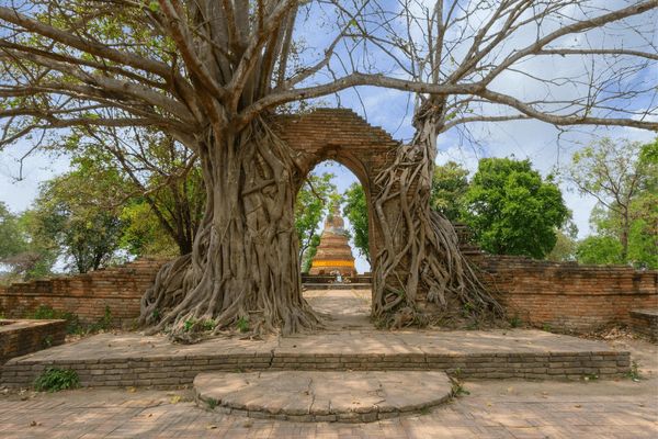 Circuit Passionnément Thaïlande en privatif : entre Royaumes, Rivière Kwaï et Parc National pas cher photo 10