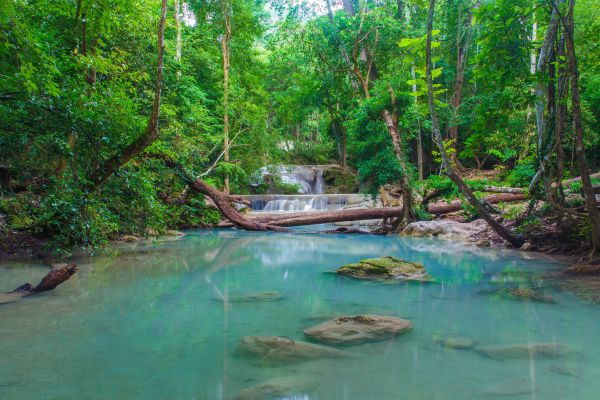 Circuit Passionnément Thaïlande en privatif : entre Royaumes, Rivière Kwaï et Parc National pas cher photo 12