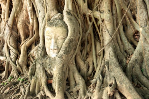 Circuit Passionnément Thaïlande en privatif : entre Royaumes, Rivière Kwaï et Parc National pas cher photo 16