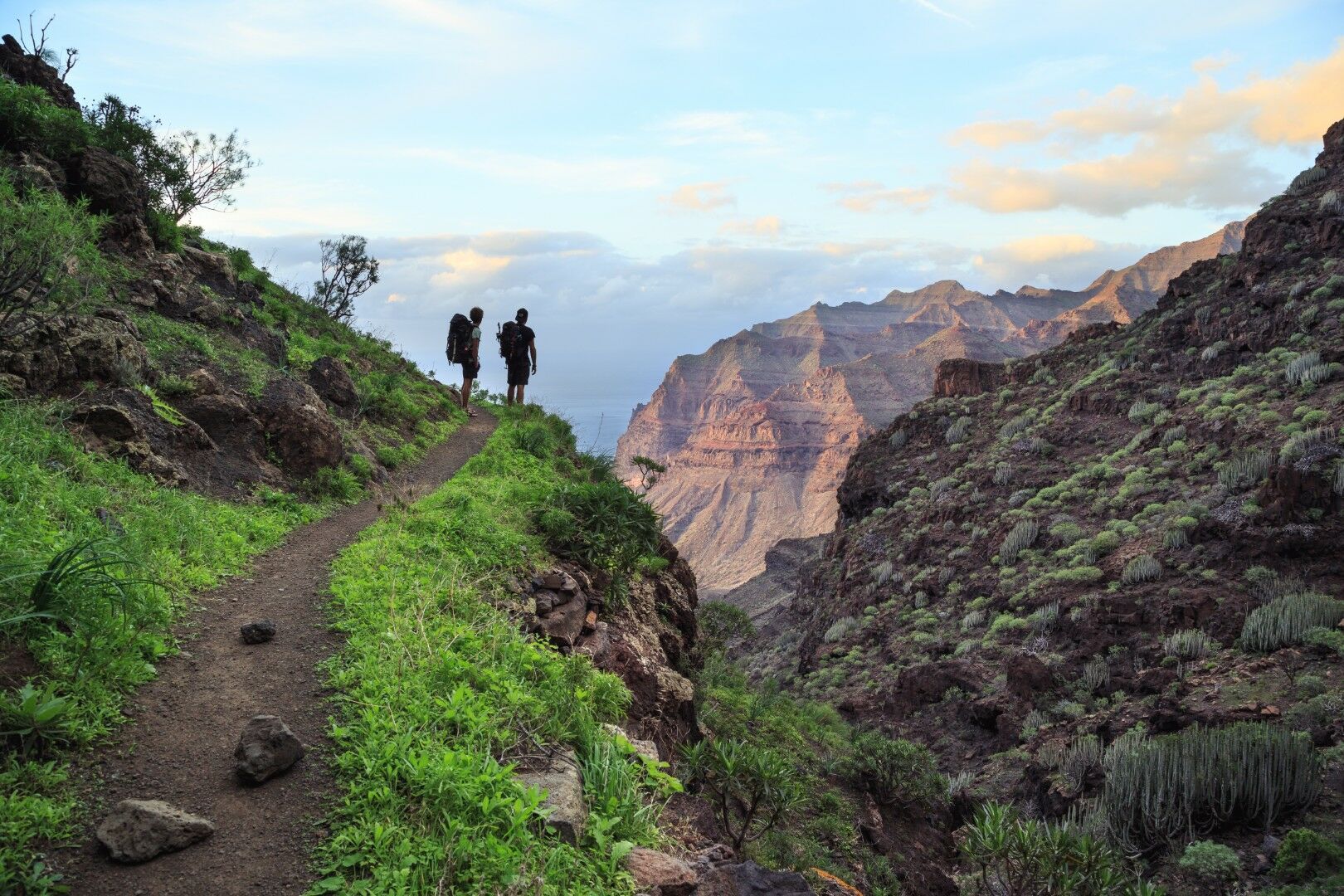Cap sur les Canaries : Ténérife, Gran Canaria et la Gomera - 8J/7N pas cher photo 3