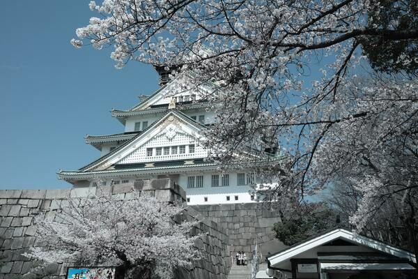 Circuit Trilogie Japonaise : Tokyo, Kyoto et Osaka - Vols Flex pas cher photo 1