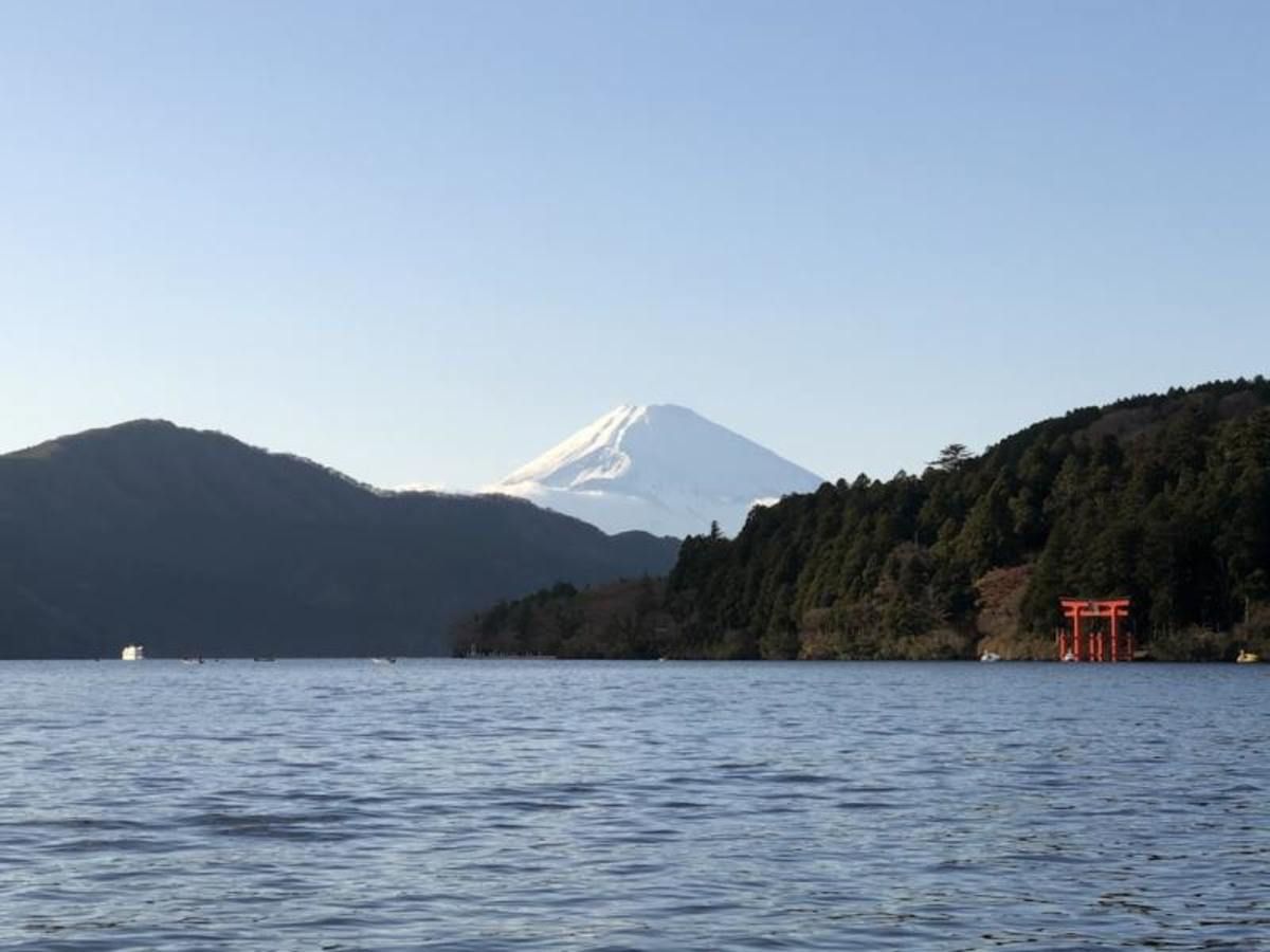 Panorama japonais en liberté 21J/18N pas cher photo 4
