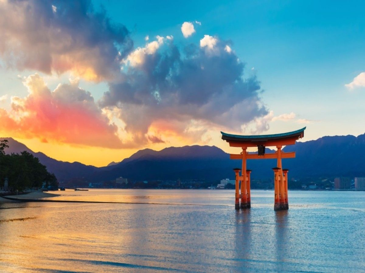 Panorama japonais en liberté 21J/18N pas cher photo 8