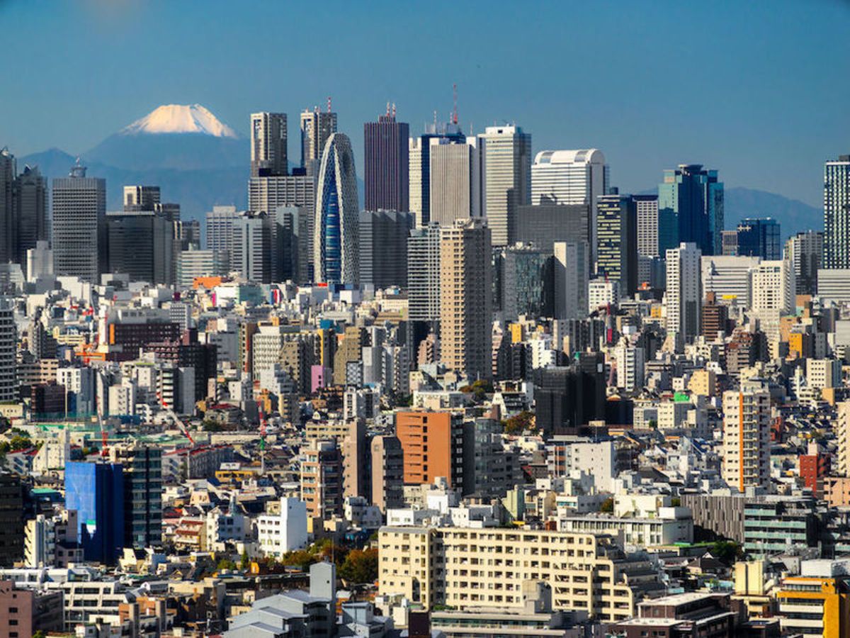 Panorama japonais en liberté 21J/18N pas cher photo 14