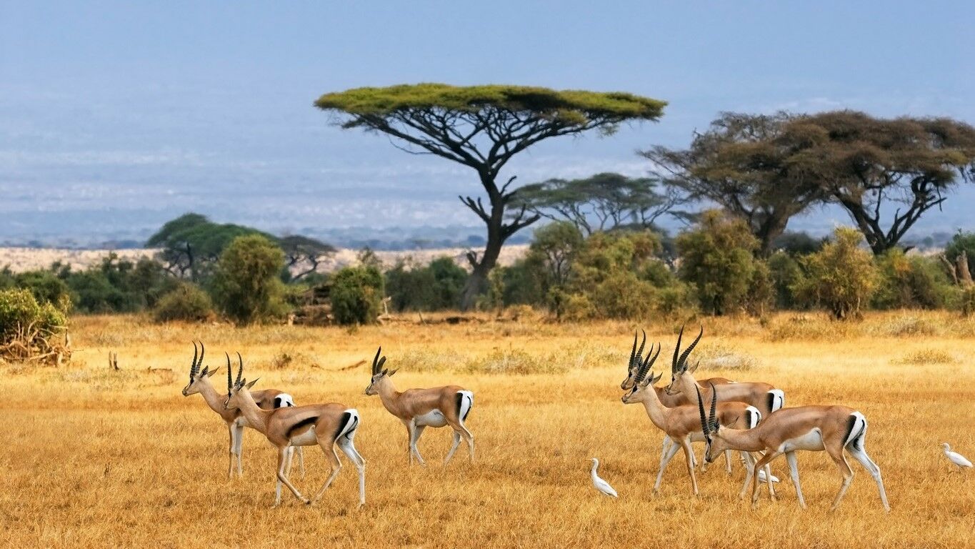 L'Afrique du Sud Intimiste 13J/10N 2027 - Départs de Juil. à Août - Vols QR pas cher photo 2
