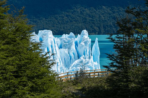 Circuit Patagonie de Feu et de Glace - Argentine & Chili - Vols Flex pas cher photo 21