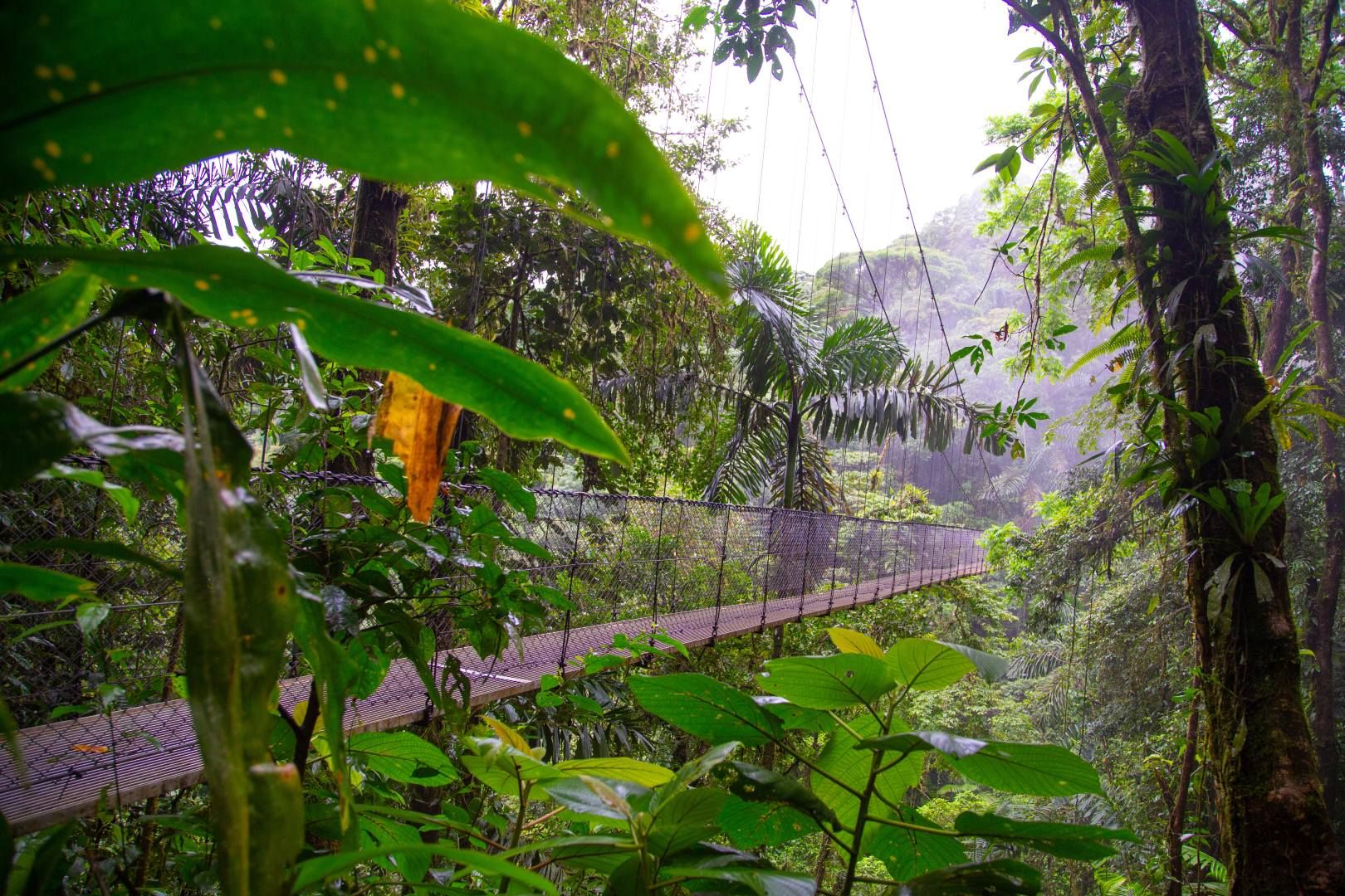 Hola Costa Rica en privatif - 11J/9N pas cher photo 3