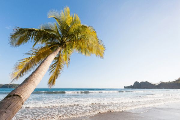 Circuit Viva La Vida et plage de Tamarindo 5* - Vols Flex pas cher photo 25