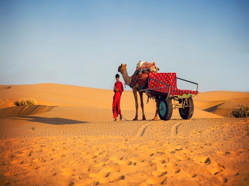 Mon Circuit Privé Rajasthan, l'Odyssée des Maharajas 3* ou 4* pas cher photo 13