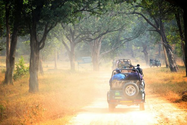 Circuit Safari Aventure au coeur de l'Inde - Vols Flex pas cher photo 9