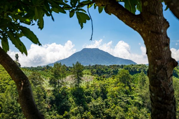 Circuit De la Jungle de Sumatra aux Temples de Bali - Vols Flex pas cher photo 6