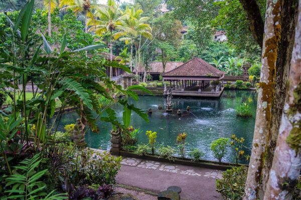 Circuit De la Jungle de Sumatra aux Temples de Bali - Vols Flex pas cher photo 26