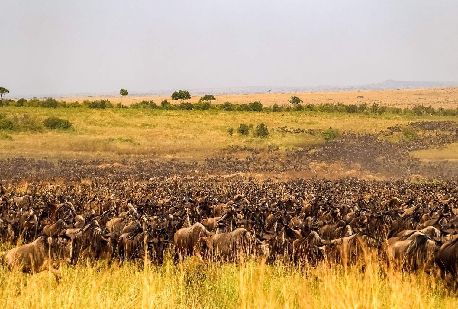 Mon Safari Privé Horizons Kenyans 4* pas cher photo 3