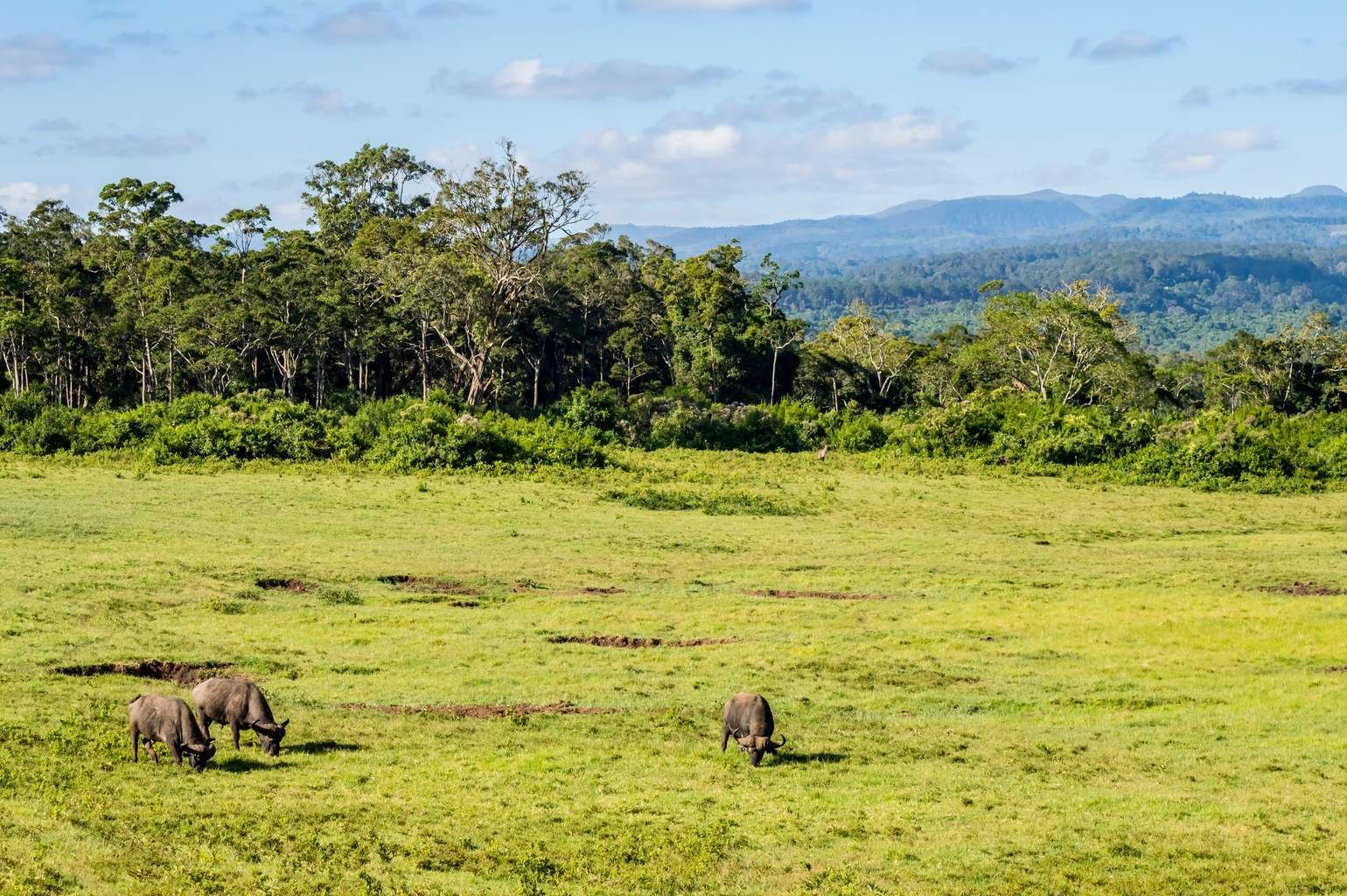 Mon Safari Privé Horizons Kenyans 4* pas cher photo 10