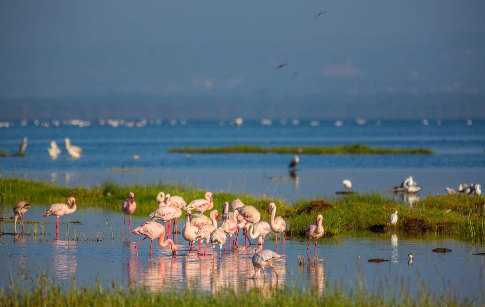 Mon Safari Privé Horizons Kenyans 4* pas cher photo 14