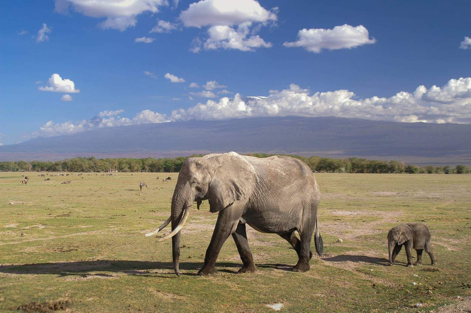 Mon Safari Privé Le Kenya Autrement pas cher photo 7