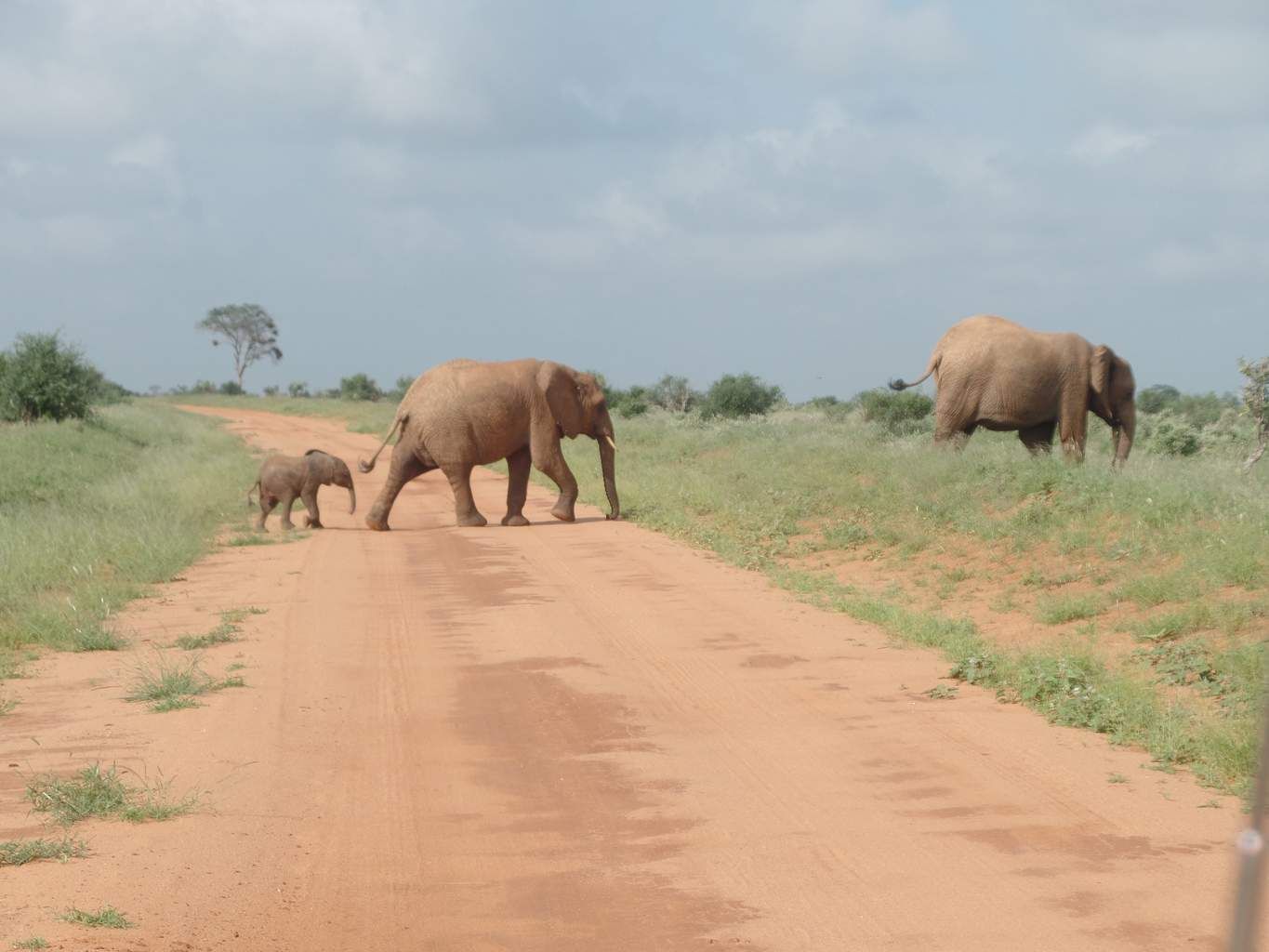 Mon Safari Privé Le Kenya Autrement pas cher photo 15