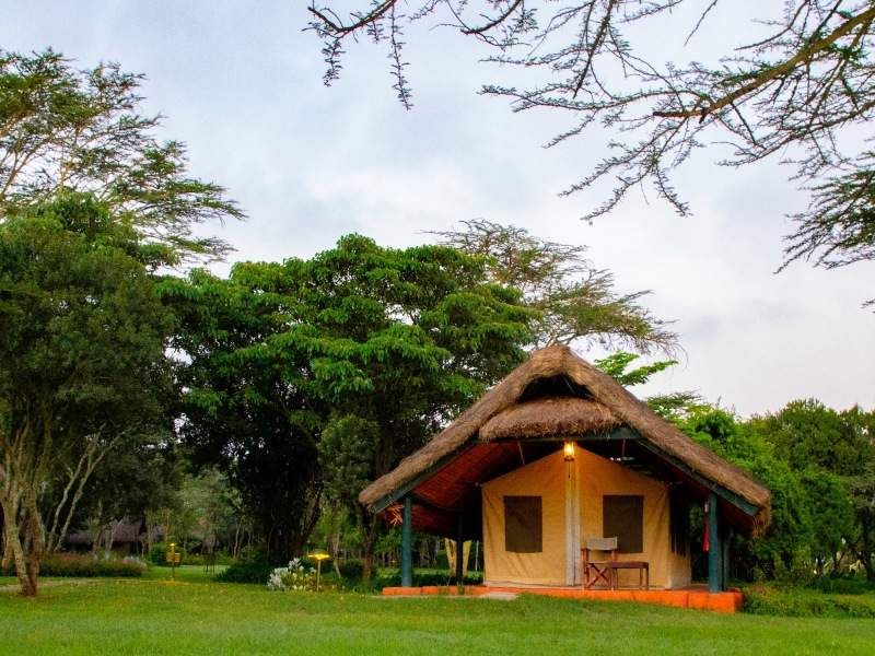 Mon Safari Privé Echappée Magique au Kenya 4* pas cher photo 6