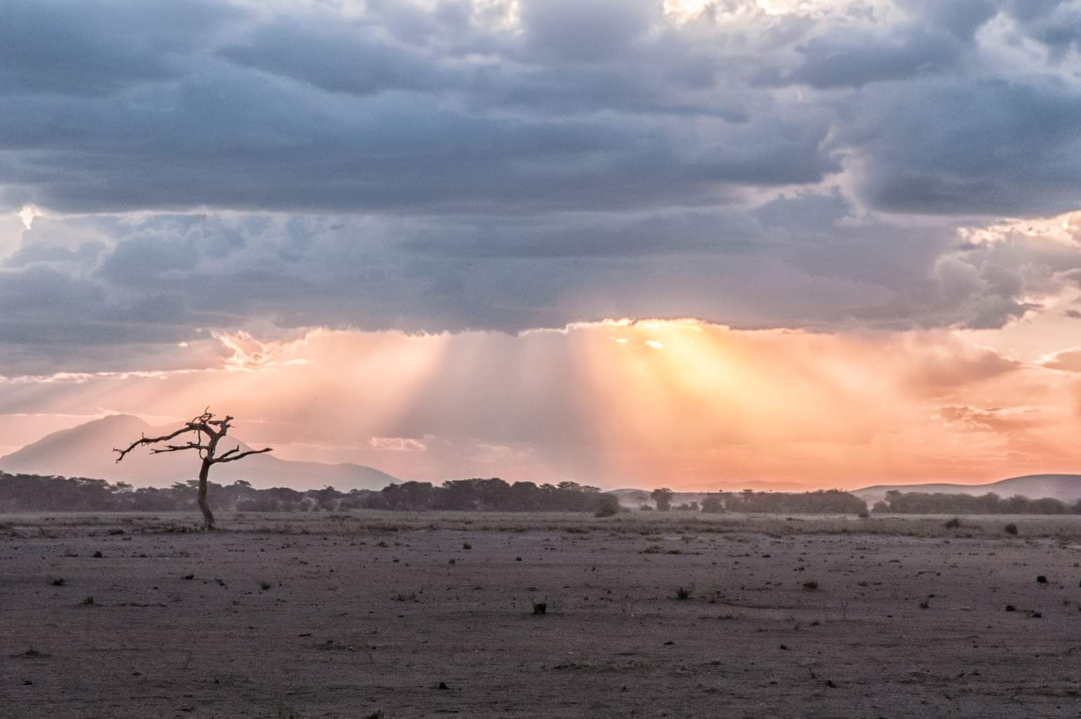 Mon Safari Privé Echappée Magique au Kenya 4* pas cher photo 11