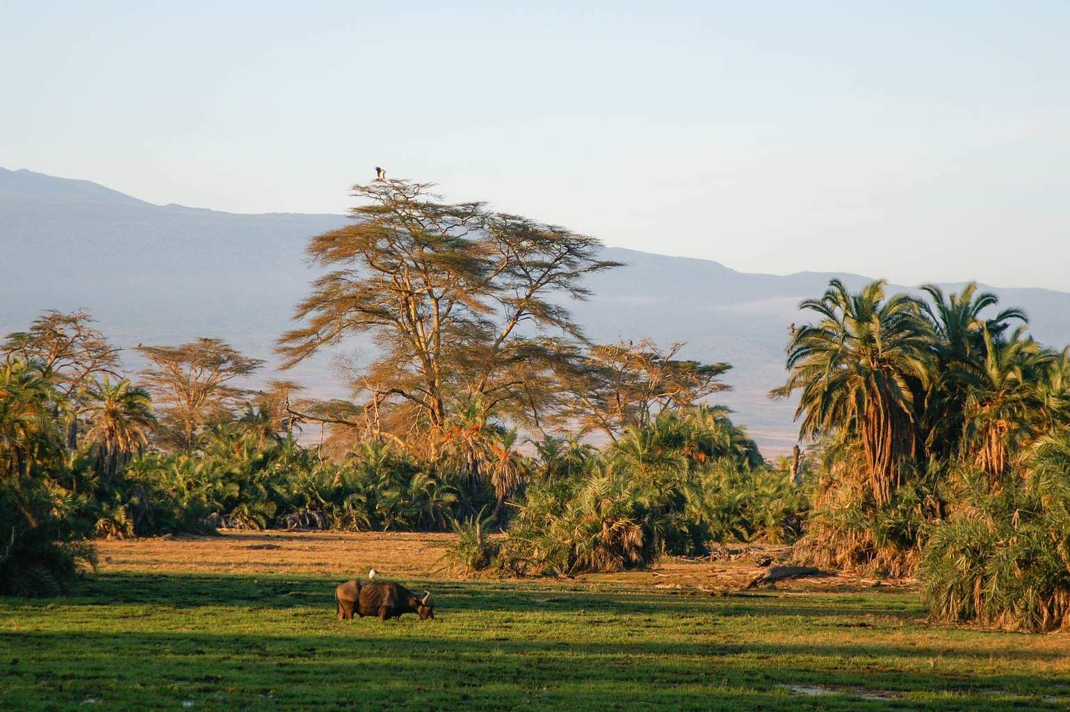 Mon Safari Privé Echappée Magique au Kenya 4* pas cher photo 12