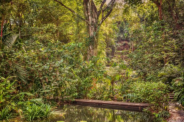 Circuit Jungle et Couleurs de Malaisie - Vols Flex pas cher photo 46