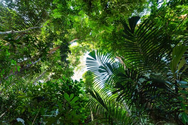Circuit Jungle et Couleurs de Malaisie - Vols Flex pas cher photo 53