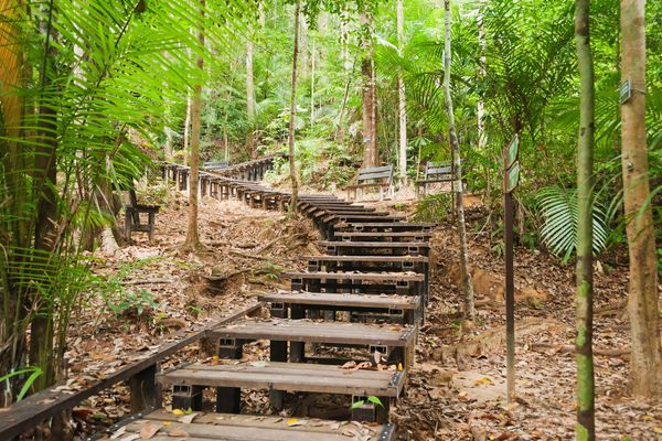 Circuit Jungle et Couleurs de Malaisie - Vols Flex pas cher photo 56