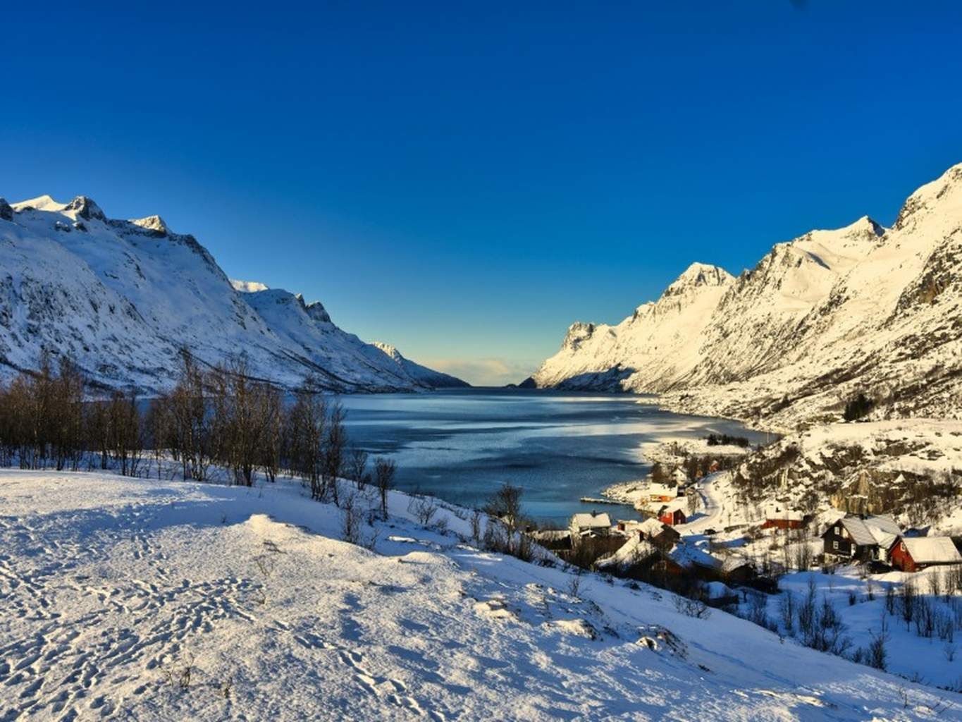 Circuit Liberté Évasion en Norvège du Nord pas cher photo 5