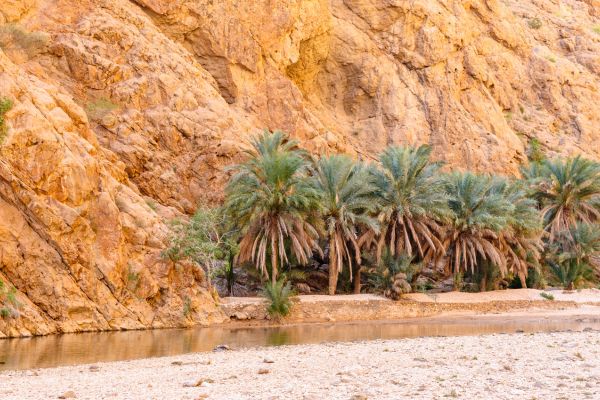 Circuit Parfums d'Oman en Privatif - Vols Flex pas cher photo 5
