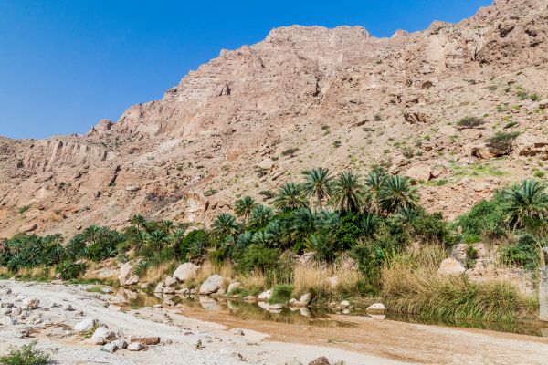 Circuit Parfums d'Oman en Privatif - Vols Flex pas cher photo 31