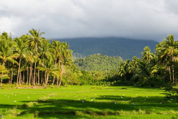 Circuit Les 3 Paradis des Philippines en Liberté - Vols Flex pas cher photo 17