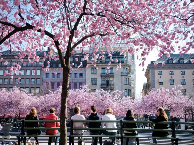 Week-end Stockholm 3* pas cher photo 2