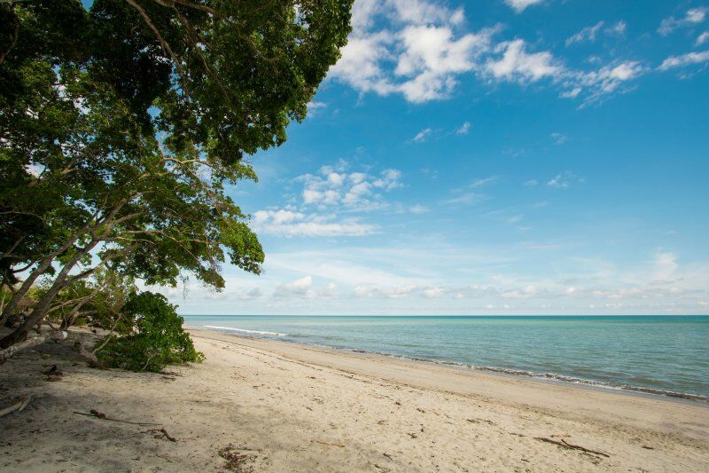 Safari Saadani Kasa Bay par bateau 3 nuits et Séjour Au Olzadia Boutique Hotel 4* pas cher photo 3