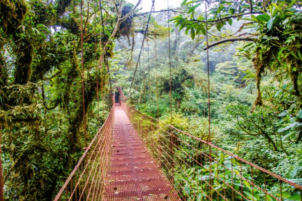 Circuit Costa Rica en Liberté : Au Paradis Sauvage 4* - Vols Flex pas cher photo 11