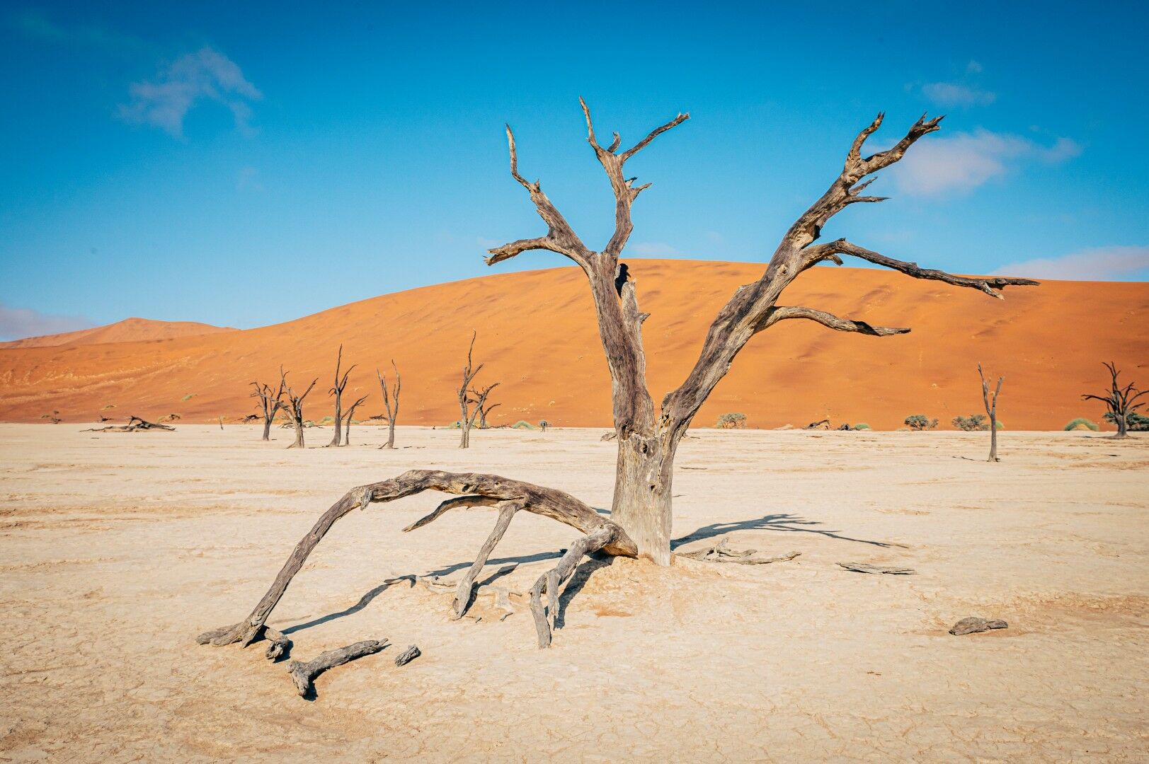 Découverte de la Namibie et Chutes Victoria- 14J/11N - Limité à 22 personnes (sauf pour les Chutes V pas cher photo 2