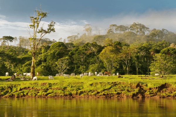 Autotour Evasion au Coeur des Terres Secrètes du Costa Rica - Vols Flex pas cher photo 3
