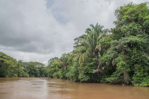 Autotour Evasion au Coeur des Terres Secrètes du Costa Rica - Vols Flex pas cher photo 9