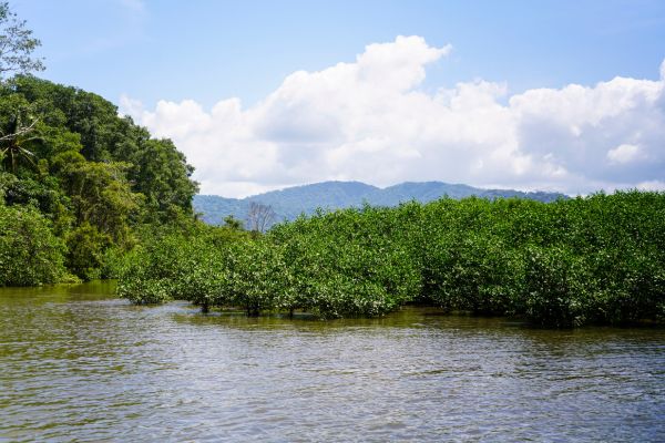 Autotour Evasion au Coeur des Terres Secrètes du Costa Rica - Vols Flex pas cher photo 19