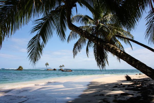 Circuit Odyssée Panaméenne : de Panama City à l'archipel de Bocas del Toro pas cher photo 39