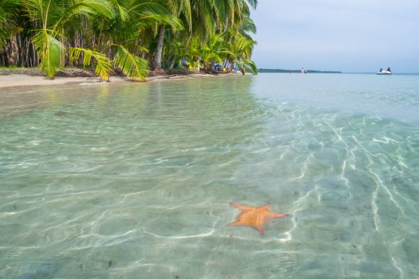 Circuit Odyssée Panaméenne : de Panama City à l'archipel de Bocas del Toro pas cher photo 40